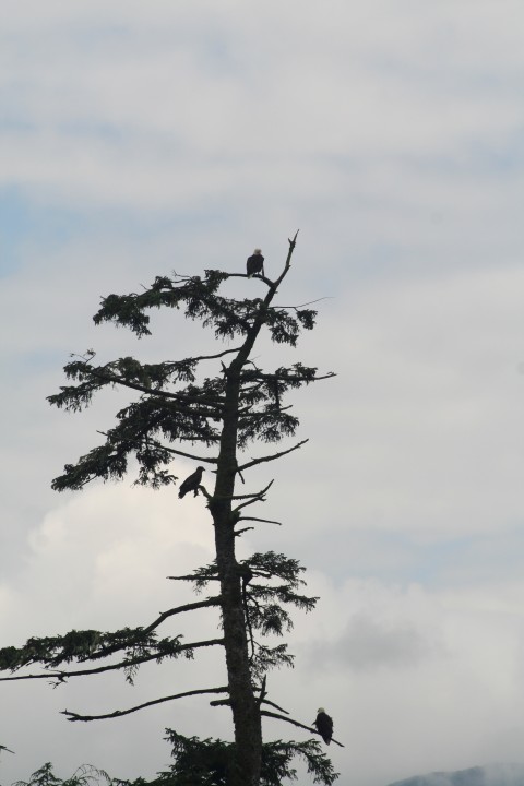 20140728_149 (Small)