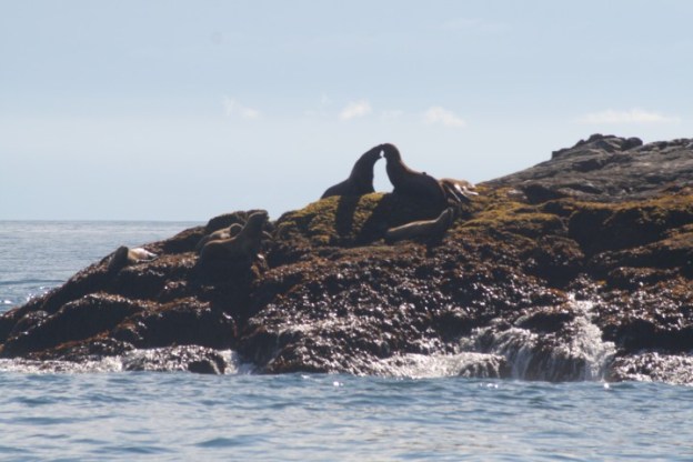 20140728_322 (Small)