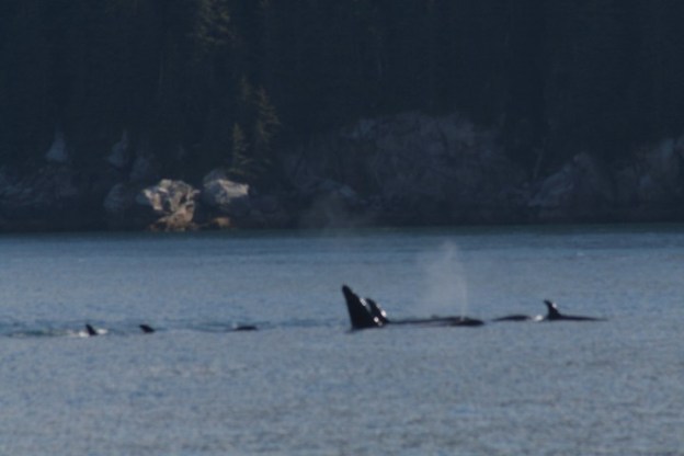 20140728_416 (Small)