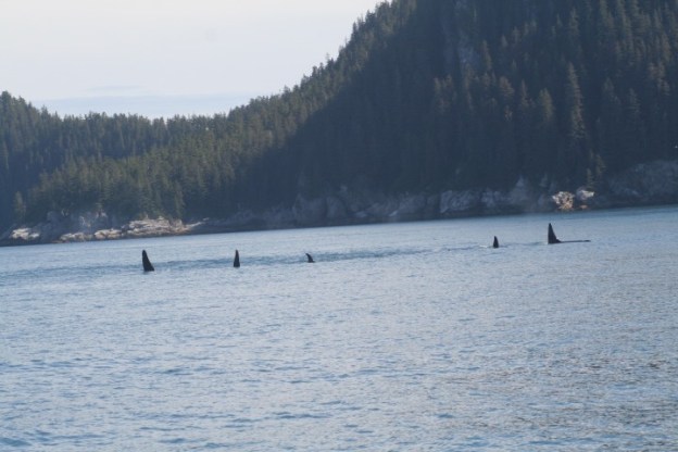 20140728_419 (Small)