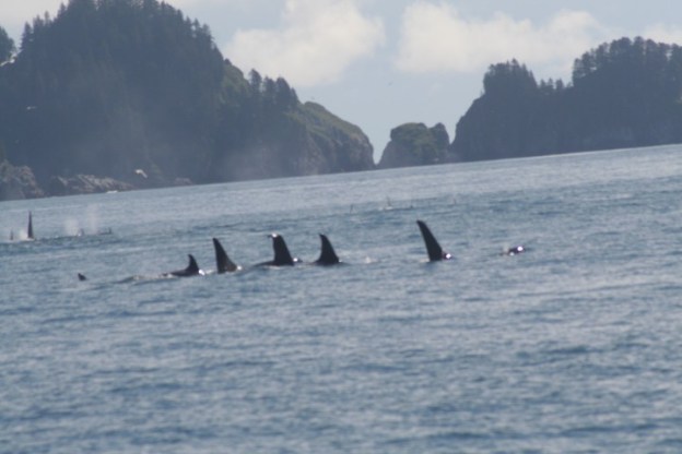 20140728_439 (Small)