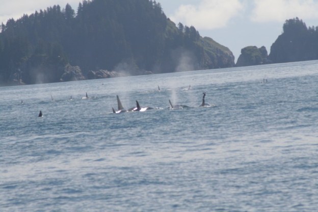 20140728_441 (Small)