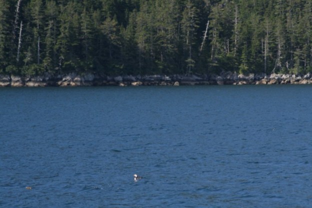 20140728_449 (Small)