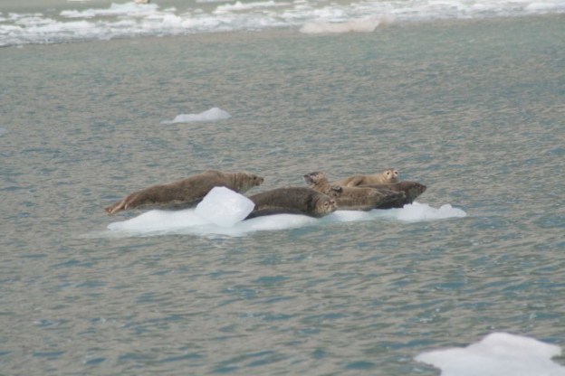 20140728_469 (Small)