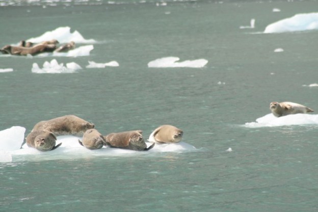 20140728_472 (Small)