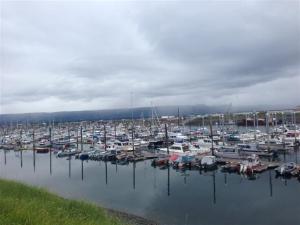 The harbor on the Homer Spit