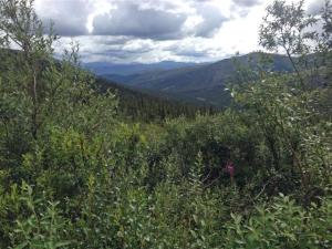 A typical view along the "Top of the World"